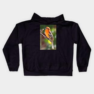 Baltimore Oriole Kids Hoodie